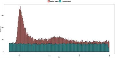 A proposed analytical approach to estimate excess daily mortality rates in Ecuador